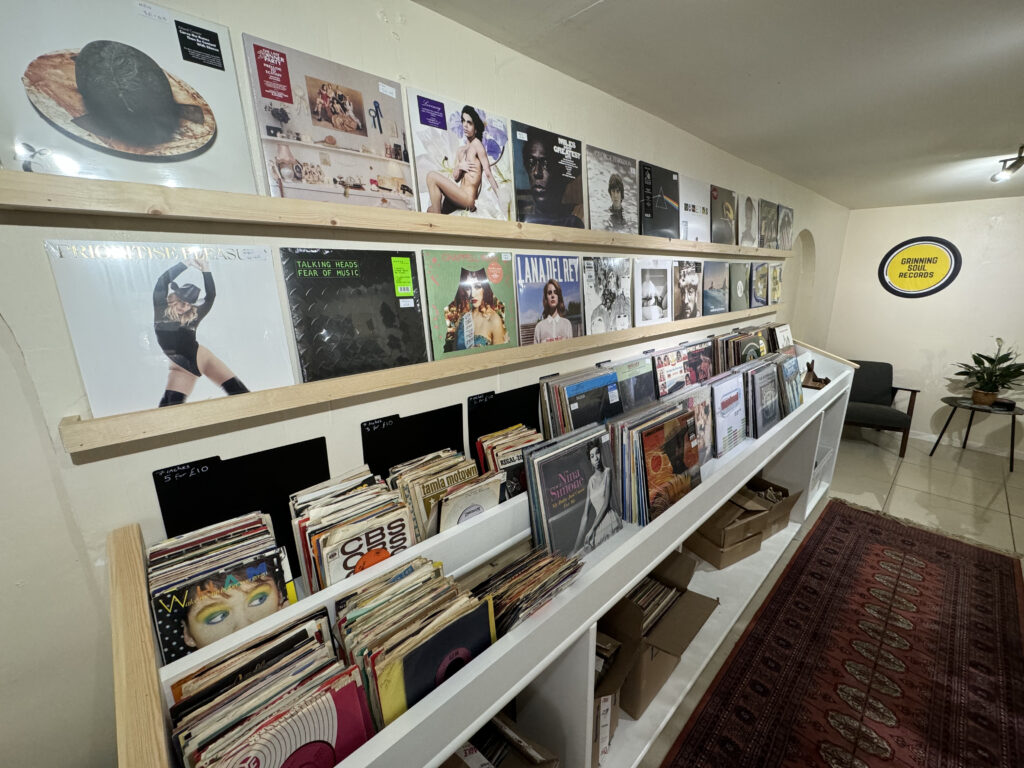 Vinyl LPs in Monmouth